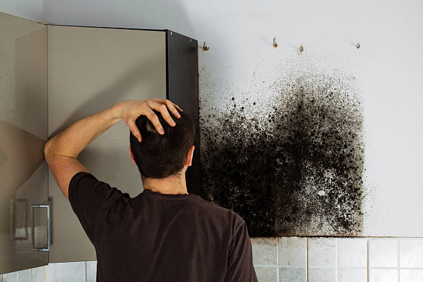 Best Emergency Mold Remediation in Americus, GA